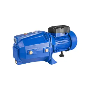 INTOUGH Top Quality Level Water pump 750W/1HP 50L/min 1inch OEM support Professional Manufacturer