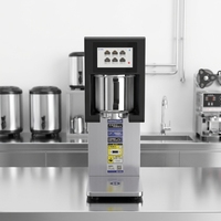 Bouilloire à thé électrique automatique et infuseur, nouveau modèle pour thé et jus