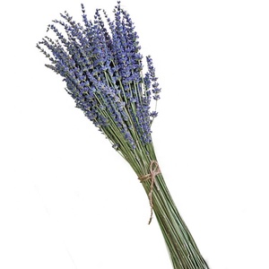 Flor Artificial decorativa hacer conservas de lavanda estabilizado lavanda - Product Image 3