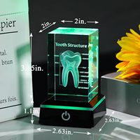 Cubo de Cristal Tallado con Diseño de Anatomía Dental, Regalos para Dentistas, Adornos Navideños de Escritorio, Productos Multiusos para la Higiene Bucal
