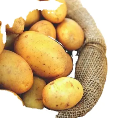 טרי הולנד תפוחי אדמה/אמריקאי סטנדרטי באיכות 680 טון