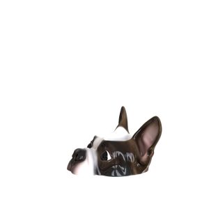 Ciotole <span class=keywords><strong>per</strong></span> Animali Domestici in Ceramica a Forma di <span class=keywords><strong>Bulldog</strong></span> <span class=keywords><strong>Francese</strong></span>, Design Ecologico Premium Personalizzato - Product Image 2