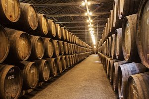 500G Alcohol Actieve Droge Gist Voor Wijn - Product Image 3