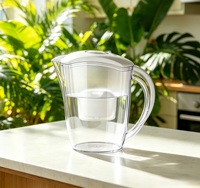 Carafe filtrante à eau portable pour l'élimination des PFAS, design léger et transparent, purificateur à gravité, avec couvercle rabattable, portable, certifiée NSF LFGB