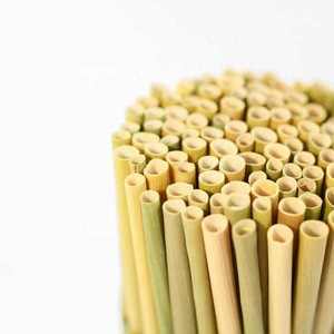20Cm Eco-Friendly <b>Reusable</b> Biodegradable Recyclable Disposable Bamboo Fiber <b>Straws</b> - Product Image 1