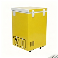 Congélateur coffre solaire 220V, porte simple, sans givre, efficacité énergétique A++, puissance réglable, usage domestique, direct usine