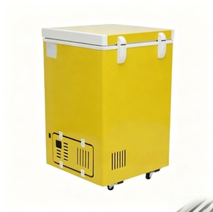 Congélateur coffre solaire 220V, porte simple, sans givre, efficacité énergétique <span class=keywords><strong>A</strong></span>++, puissance réglable, usage domestique, direct usine - Product Image 6