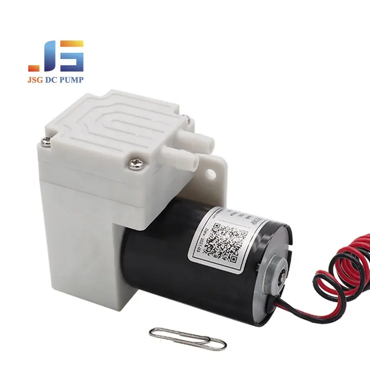 건전지 스프레이어 펌프 남성 남근 진공 기계 Dc 3V 전동기 공기 뿔을 위한 소형 낮은 전압 마이크로 12V 펌프