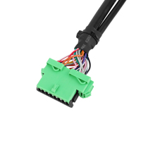 Câble de faisceau de diagnostic noir de connecteur d'OBD2 OBDII OBD 16pin 24V personnalisé pour le lecteur de code