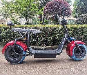 Scooter de 1500W con Batería de Litio, Monoplaza, Neumáticos Anchos, Mini, Mediano, Ruedas Grandes, 40-45km/h, 100-240V, Modelo Básico con Competitividad - Product Image 4