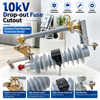 Disjoncteur de coupure extérieur MRCA-12 10 kV avec parafoudre à oxyde de zinc pour la protection des transformateurs de distribution