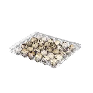 30 Cells Jumbo Large Quail Eggs Plastic Tray Carton Containers In Cheap Price PET Reusable Common Factory