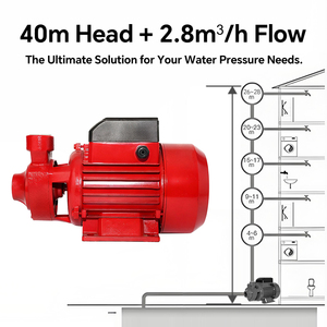 <span class=keywords><strong>Pompe</strong></span> à eau portable de qualité garantie à prix compétitif QB80 1HP 36L/min pour l'entretien de la maison, du jardin, de la ferme, de la <span class=keywords><strong>piscine</strong></span> et du bassin - Product Image 3