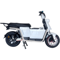 Trottinette Électrique GPS Longue Portée en Gros 1000W 72V Frein à Disque Avant et Arrière Double Amortisseur Hydraulique NFC Écran LCD Couleur 200kg