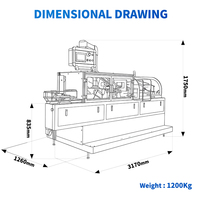 Suppositoires rectaux horizontaux vaginaux et urétraux entièrement automatiques Boîte en carton Machines d'emballage Machine de cartonnage