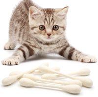 Jouets pour chat avec herbe à chat, lot de 2 |   Jouets pour chats mignons et durables résistants aux morsures, interactifs pour lutter contre l'ennui, l'exercice et le jeu, remplis de jouets pour garçons