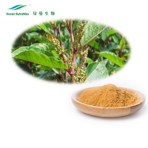 Прямая Продажа с завода, высококачественный порошок экстракта Polygonum Cuspidatum с 10% ~ 99% ресвератрол - Product Image 2