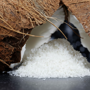 Principaux produits d'exportation de noix de coco 2024 | Noix de coco desséchée faible et riche en matières grasses - Product Image 1
