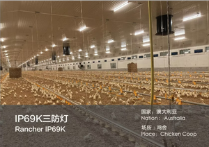 NSF ENEC SAA Certified IP69K LED Triproof Light Stainless Steel PMMA Food Grade Linear Light - Product Image 5