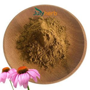 Julyherb Chất lượng cao Tím Daisy chiết xuất <span class=keywords><strong>Echinacea</strong></span> Purpurea chiết xuất 4% polyphenol - Product Image 1