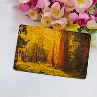 Contrôle d'accès en bambou hôtel carte clé personnalisé Cr80 Nfc Rfid en bois conceptions personnalisées des échantillons gratuits sont disponibles sur demande RFID,NFC