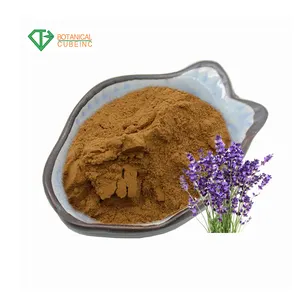 טבעי טהור Herba Verbena Officinalis Pe/תמצית אבקת תמצית ורבנה