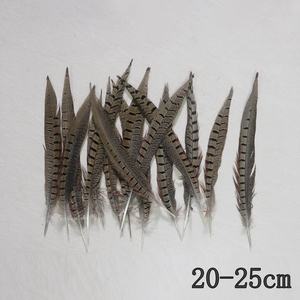 Groothandel 20-60Cm Natuurlijke Fazant Staartveren Grappige Kat Stick Diy Hoofdtooi Accessoires Geverfde Veren - Product Image 6