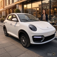 Nouveau véhicule électrique SUV mini chinois à grande vitesse avec quatre roues, direction à gauche, fonctionnalités de haute technologie, véhicules à énergie nouvelle