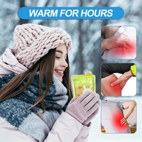 Compresse Chauffante en Gel Réutilisable à Activation Instantanée, Design Mignon de Dessin Animé, Coussin Chauffant pour les Mains, Forme et Couleur Personnalisables