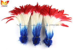 Proveedor Líder ZPDECOR, Venta al por Mayor de Plumas de <span class=keywords><strong>Gallo</strong></span> Teñidas en Dos Colores de 30-35 cm para Diseño de Disfraces de Carnaval - Product Image 5