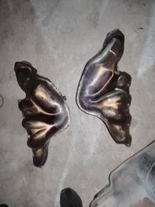 Knalpot menggunakan mesin asli untuk Ferrari F430 Coupe-Spider OEM 247596 212631 - Product Image 6