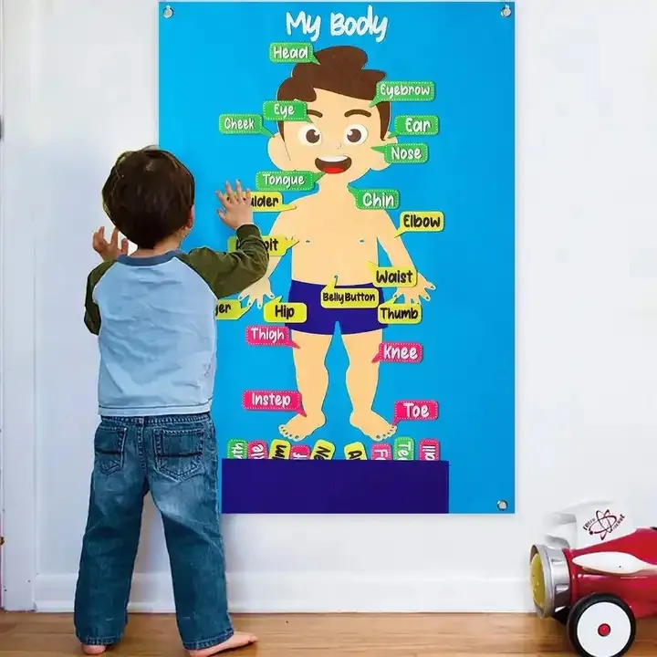 Yeni tasarım çocuk erken eğitim öğrenme kartı vücut parçaları aktivite keçe öğrenme kartı keçe