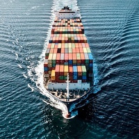 Expédition maritime LCL Shenzhen Durban Afrique du Sud DDP DDU Service d'étiquetage et de tri FBA