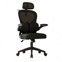 Chaise de bureau ergonomique, vente directe d'usine, chaise de bureau avec dossier en maille et soutien lombaire réglable, faible MOQ OEM ODM