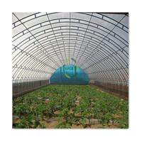 Systèmes hydroponiques à faible coût pour la culture commerciale de tomates et de légumes en serre avec film plastique
