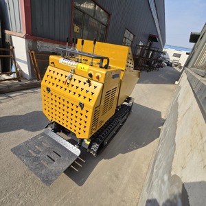 Mini-chargeur sur chenilles avec benne basculante, pompe hydraulique, moteur diesel Briggs & Stratton, capacité 880 kg, benne 450 kg, Chine - Product Image 5