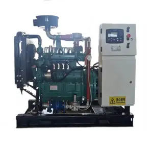 Grosir Cina pengurangan kebisingan CE eekonomis generasi darurat 100kW Biogas Generator Set dengan SDEC mesin