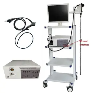 Veterinary Hot Sale 19"lcd Monitor Hd Flexible Medical Video Veterinary Endoscopic Gastroscope Vet-9000