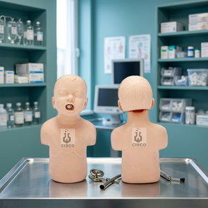 Mannequin d'entraînement CISCO pour l'étouffement des nourrissons en polyuréthane, modèle CISCO-141 pour la formation aux premiers secours, Haryana - Product Image 3