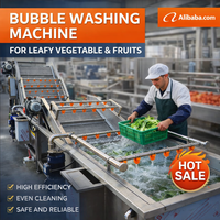 Automatische luchtbelwasmachine voor bladgroenten, fruit, aardappelen, wortelen, komkommers en voedselverwerking