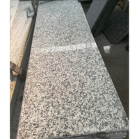 Prix d'usine G602 granit gris Rose pour carrelage de sol, escalier, pierre de Kerbstone, pavage de route