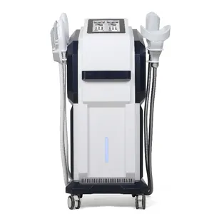 Hot Sale 2 in 1 Cryolipolysis Ems Electromagnetic Anti Cellulite Body Shaping Body Slimming Cryo Ems Machine