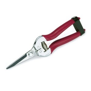 Forbici a lama dritta per vigneto e giardinaggio ARTICOLO 116 - Product Image 1