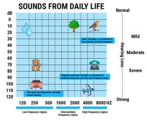 Aides auditives miniatures invisibles CIC à 8 canaux, vente chaude, livraison directe en ligne - Product Image 6