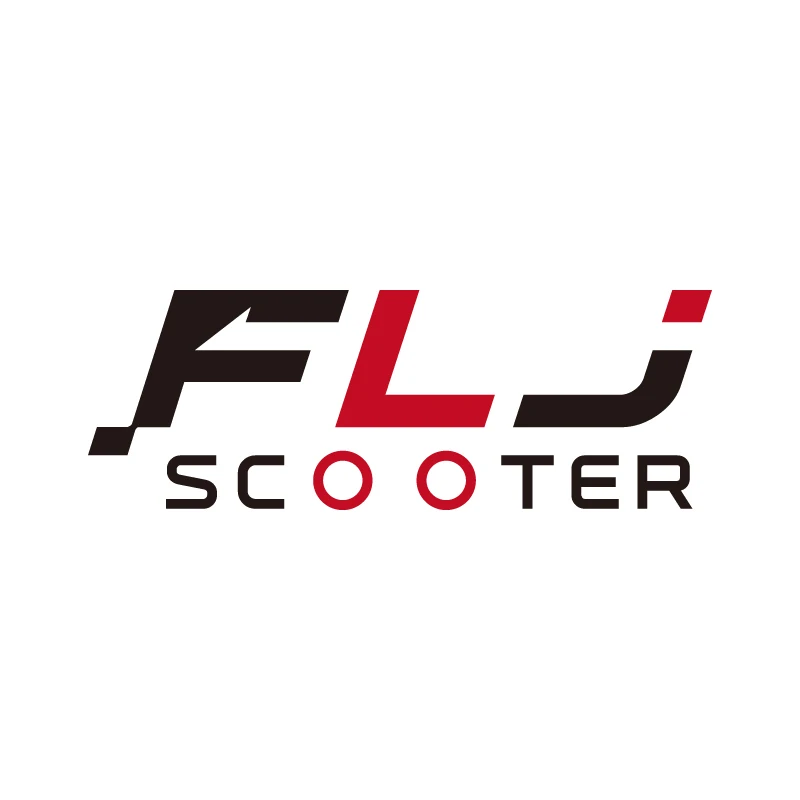 Shenzhen Flj Technology Co., Limited logo