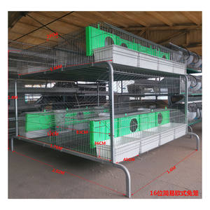 Grandes cages industrielles pour lapins, élevage commercial, <span class=keywords><strong>cage</strong></span> d'élevage - Product Image 6