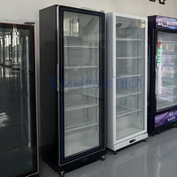 Congélateur vertical vitré à refroidissement par air avec contrôleur numérique, vitrine économe en énergie pour bar