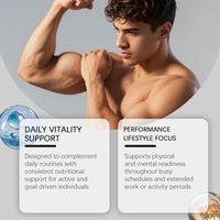 Gummies de Shilajit Pur de l'Himalaya OEM ODM, 85+ Oligo-éléments et Acide Fulvique, pour Hommes et Femmes