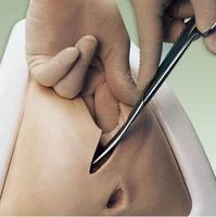 Modelo de entrenamiento de Perinealis y perineorrhyphy, simulador de Episiotomy