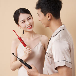 Brosse à dents électrique rechargeable pour adultes, vente en gros, étanche IPX7, poils en nylon, brosse à dents de voyage très vendue - Product Image 6